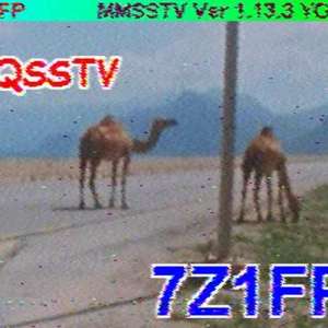 7Z1FP