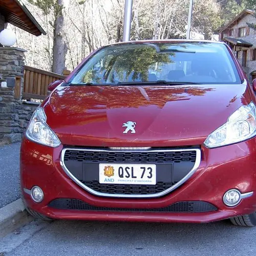 C31CT