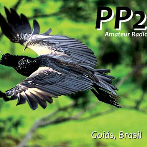 PP2CS profile image