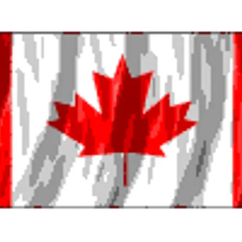 VA3BUF profile image