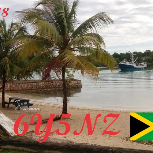 6Y5NZ