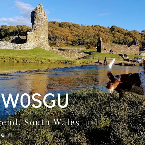 MW0SGU profile image