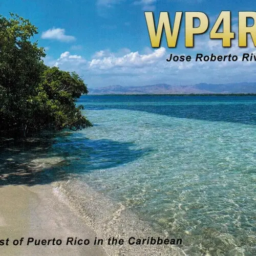WP4RRF profile image