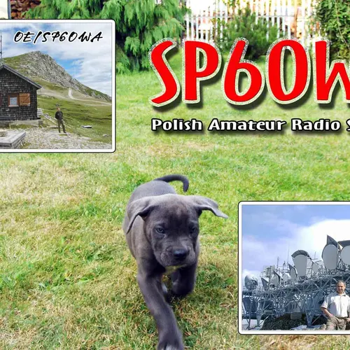 SP6OWA profile image