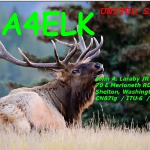 WA4ELK profile image