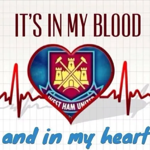 VA3WHU profile image