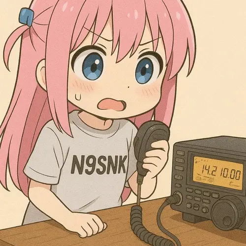 N9SNK profile image