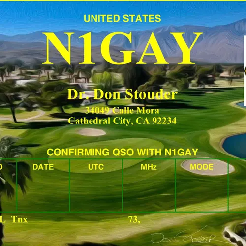 N1GAY profile image