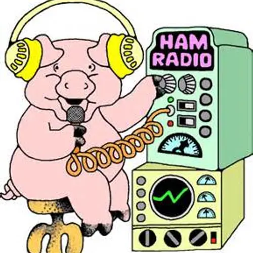 W2PIG profile image