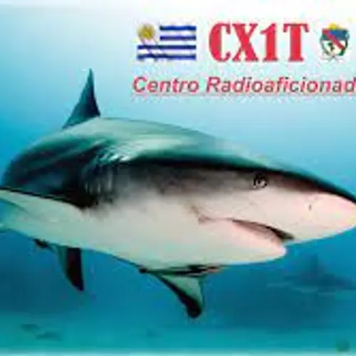 CX1T
