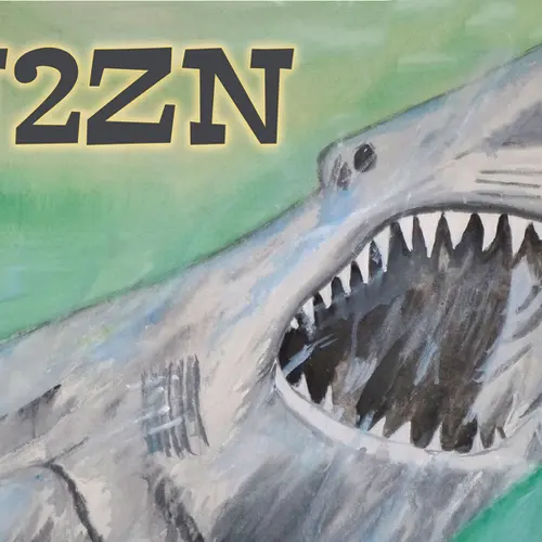 N2ZN profile image