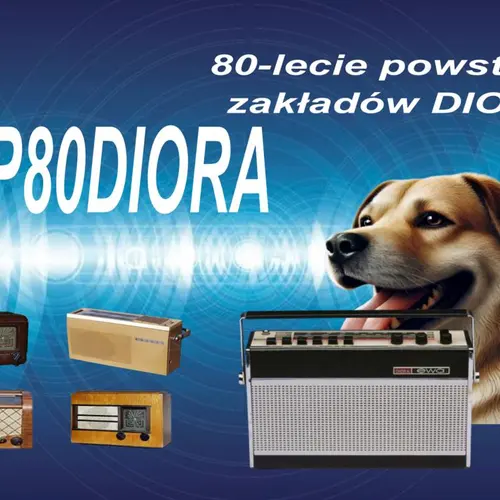 SP80DIORA profile image