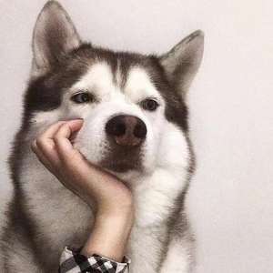 BI2QFV profile image