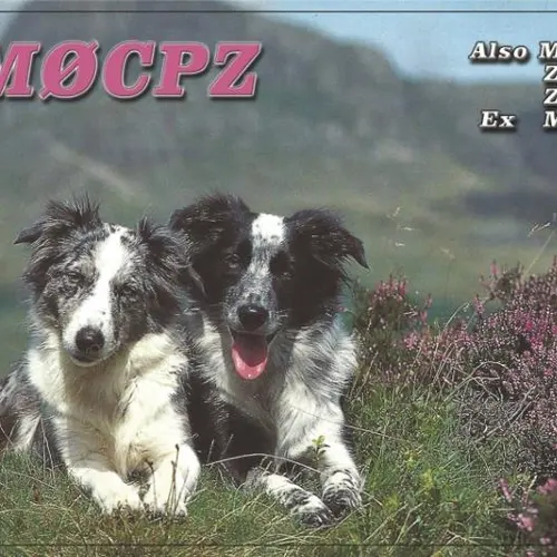 MM0CPZ profile image