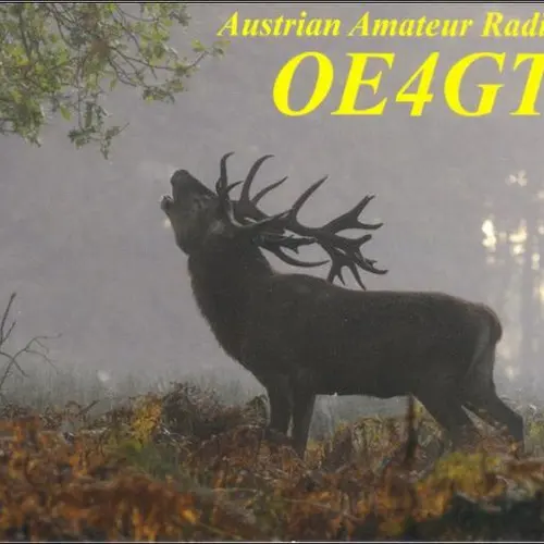 OE4GTU profile image