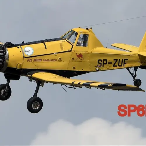 SP6EFY profile image