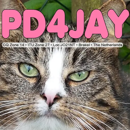 PD4JAY profile image