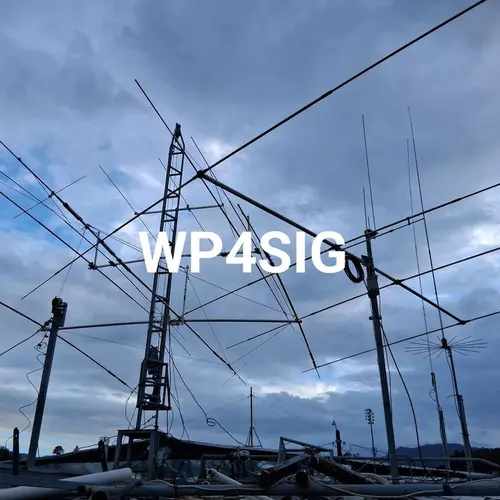 WP4SIG profile image