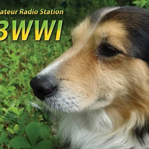 SP3WWI profile image