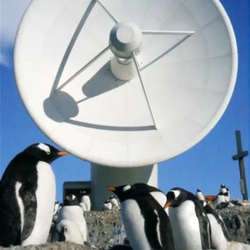 N1NZL profile image