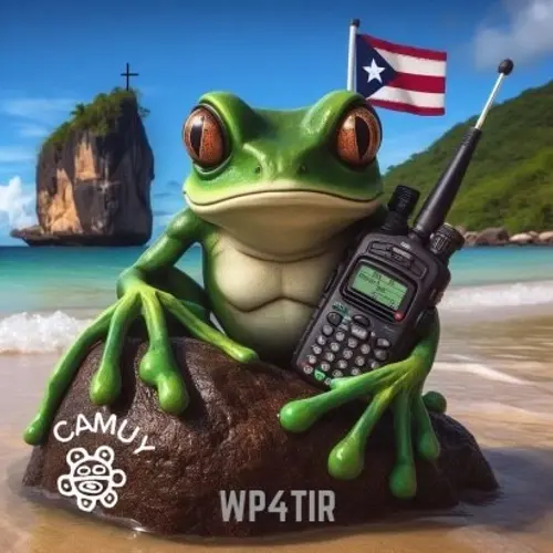 WP4TIR profile image