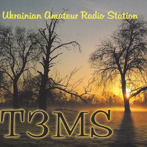 UT3MS profile image
