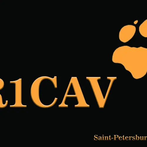 R1CAV profile image