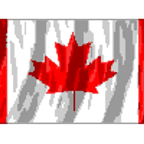 VE1DC profile image