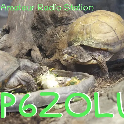 SP6ZOLW profile image