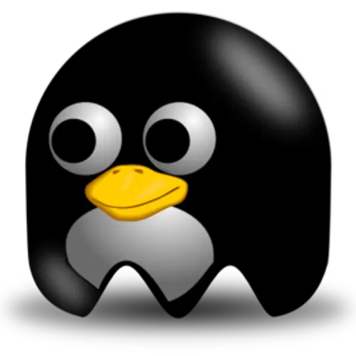 SQ6KXY profile image