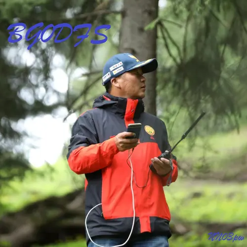 BG0DFS