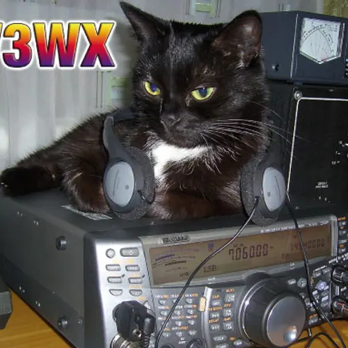 RW3WX profile image