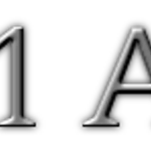 N1AH profile image