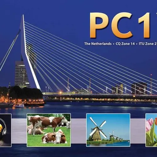 PC1Y profile image