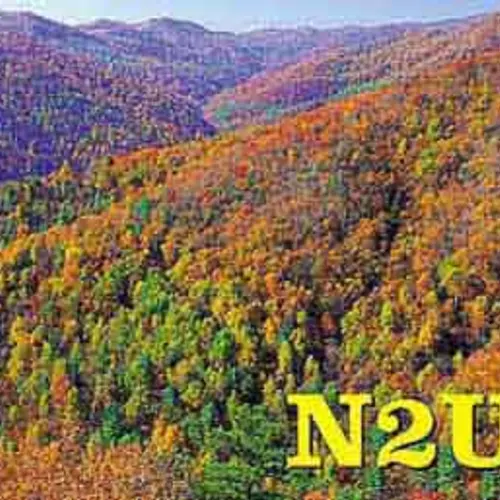 N2UX profile image