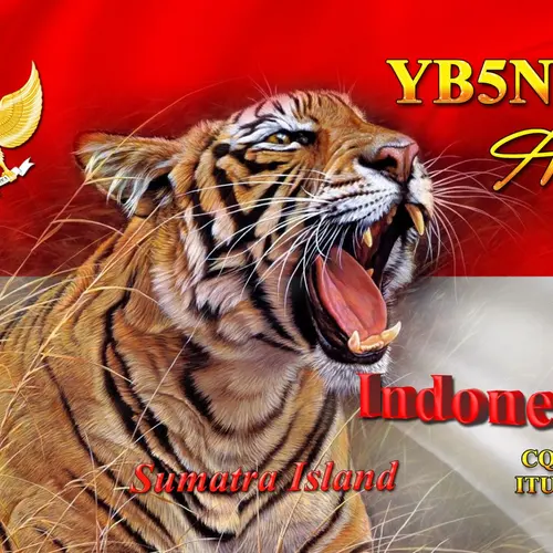 YC5NBY profile image