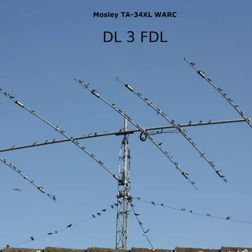 DL3FDL
