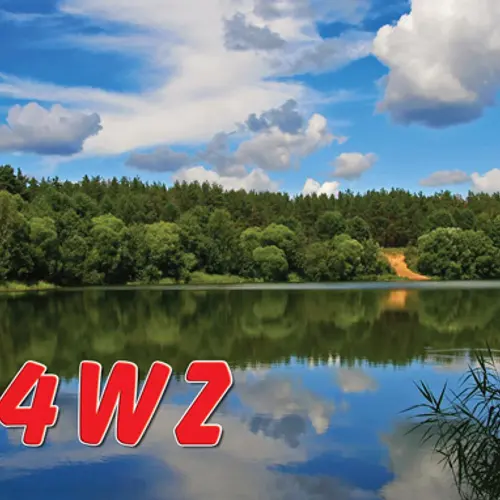 R4WZ profile image