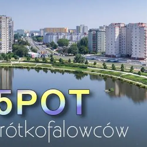 SP5POT profile image