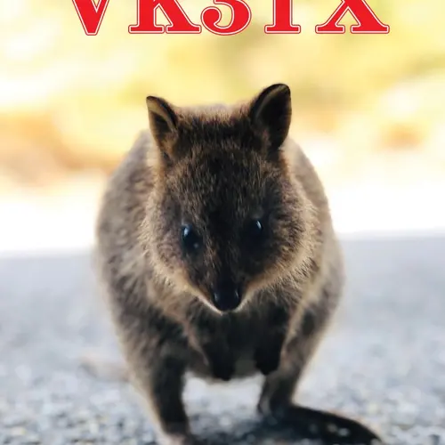 VK3TX profile image