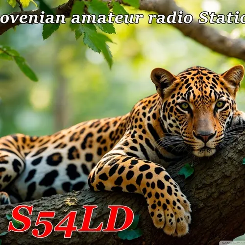 S54LD profile image