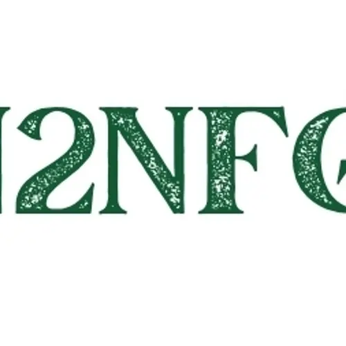 N2NFG profile image