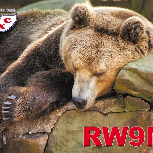 RW9MZ profile image