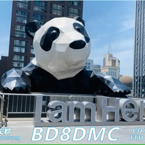 BD8DMC