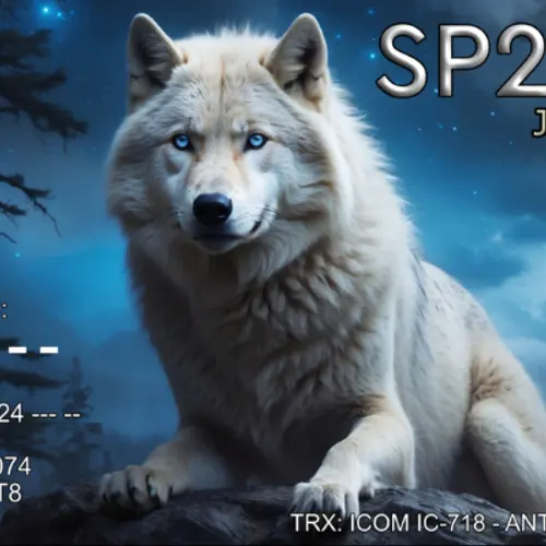 SP2ZS profile image
