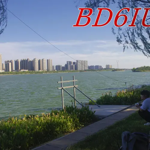 BD6IUT