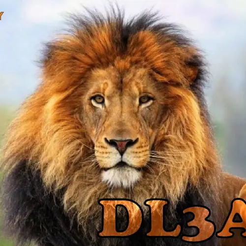DL3AN