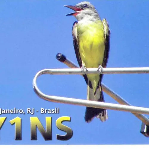 PY1NS profile image