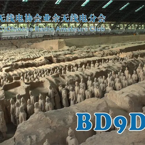 BD9DM