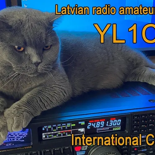 YL1CAT profile image